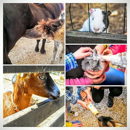 Silly Pony Farm House *