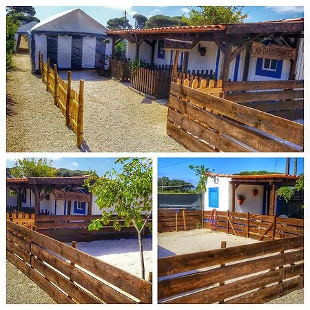 Casa vacanze Silly Pony Farm House Terrugem